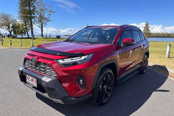2025 Toyota RAV4 Cruiser