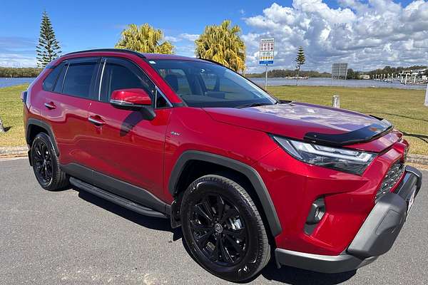 2025 Toyota RAV4 Cruiser