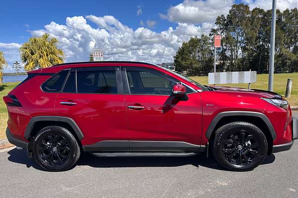 2025 Toyota RAV4 Cruiser