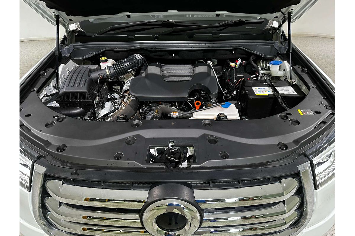 2022 GWM Ute Cannon-X NPW 4X4