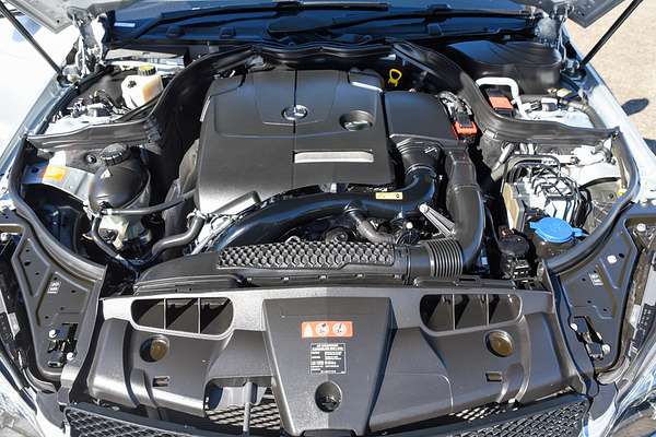 2013 Mercedes-Benz E-Class E250 C207