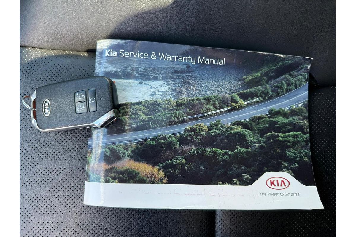 2020 Kia Carnival Platinum KA4