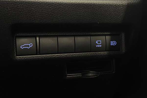 2020 Toyota RAV4 Cruiser AXAH52R