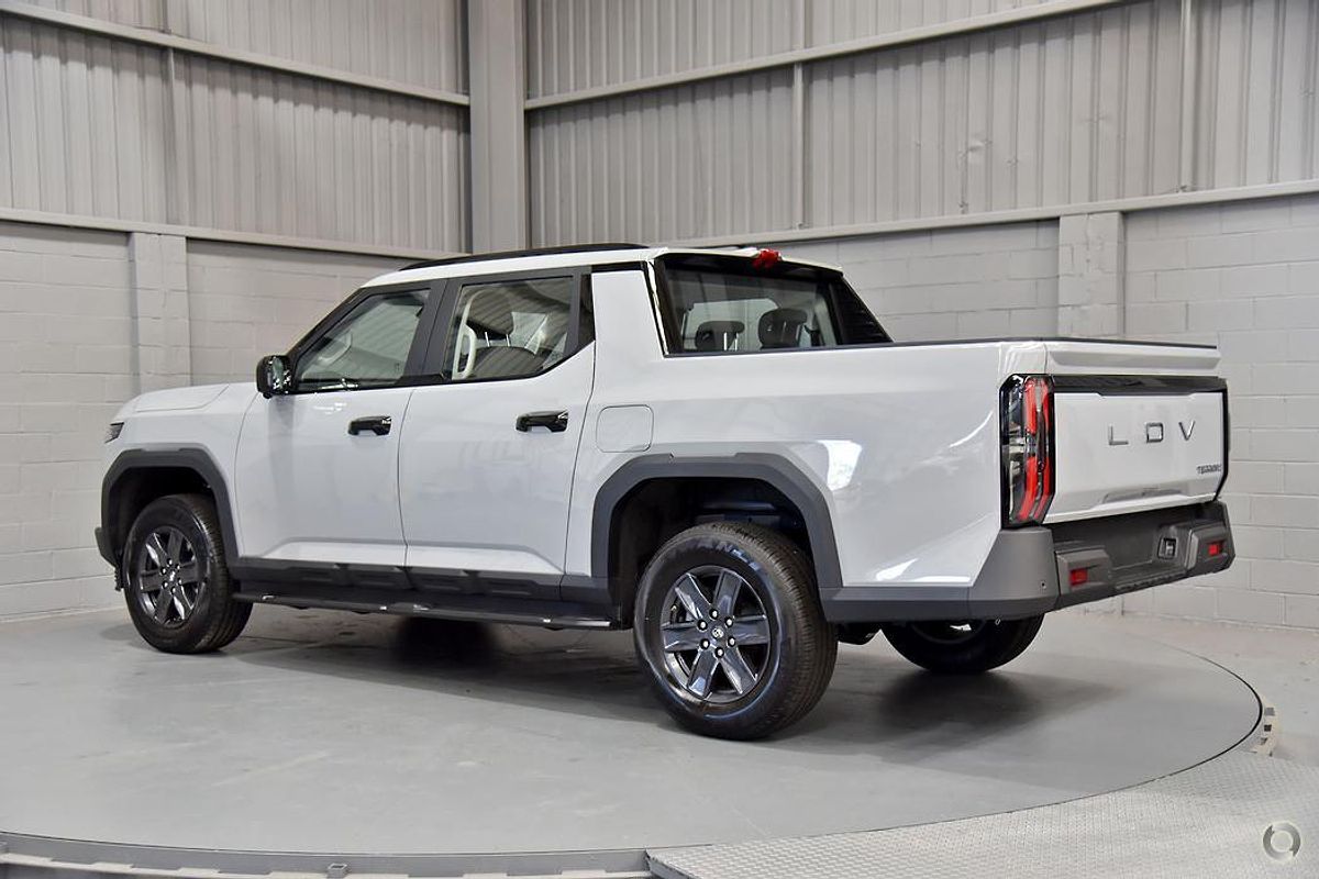 2025 LDV Terron 9 Origin EKK1C 4X4