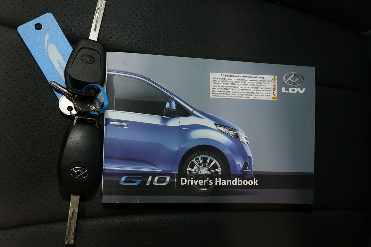 2023 LDV G10 + SV7C