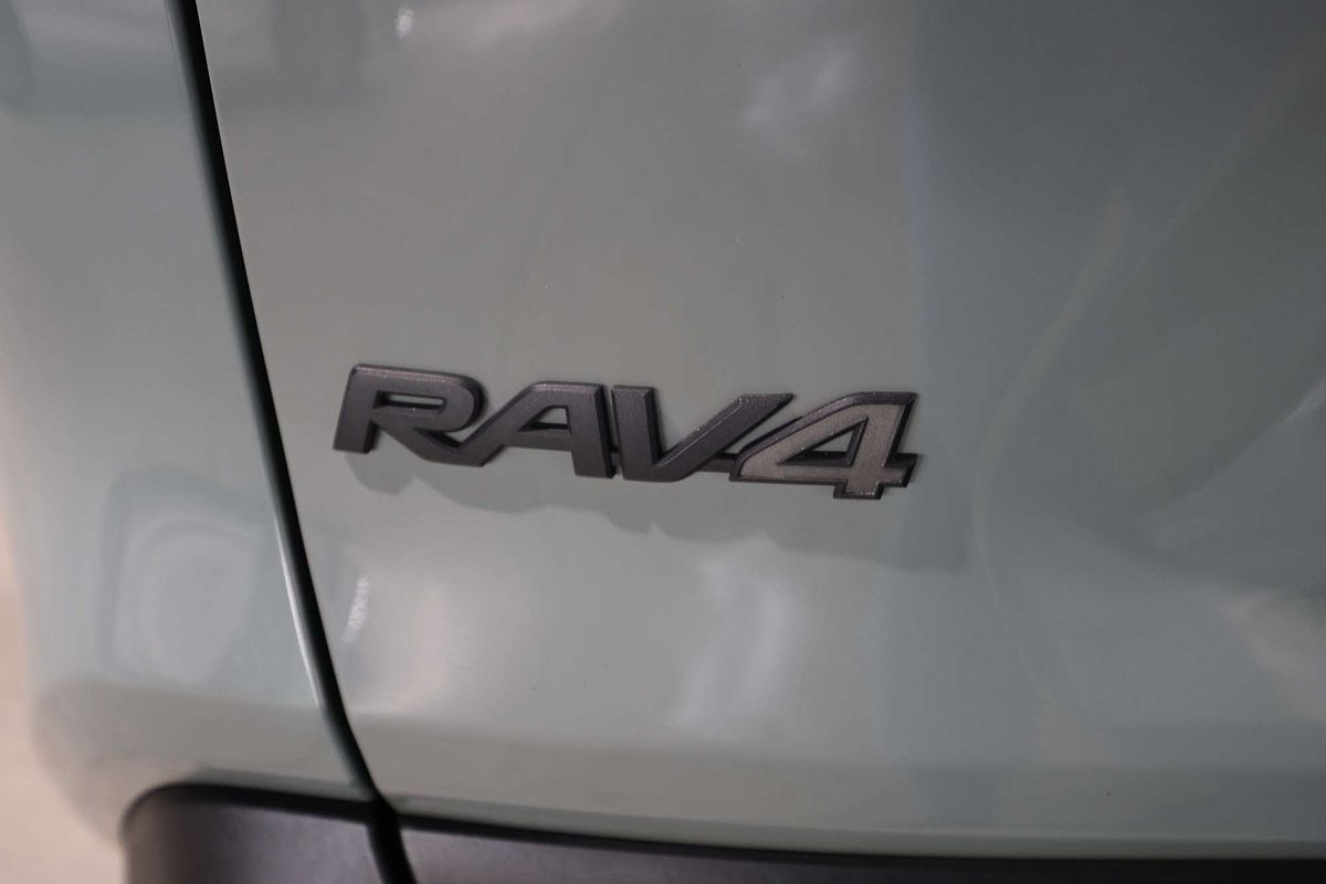 2019 Toyota RAV4 Edge AXAA54R