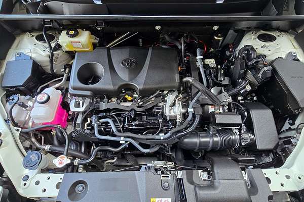 2021 Toyota RAV4 Cruiser AXAH52R