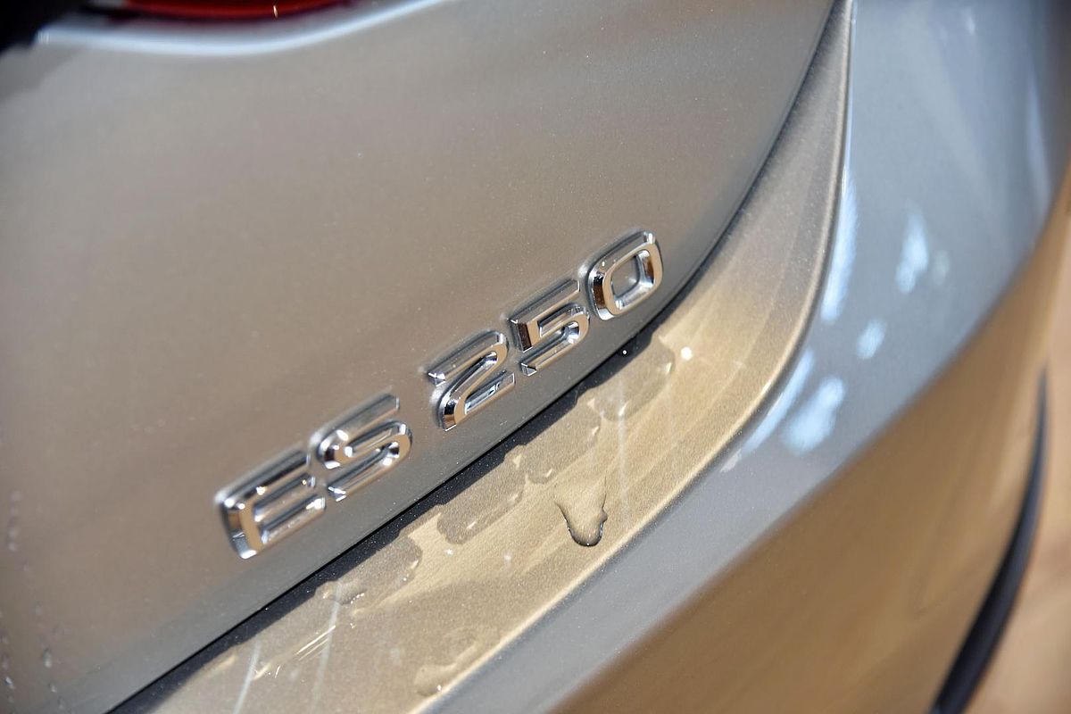 2024 Lexus ES ES250 Luxury AXZA10R