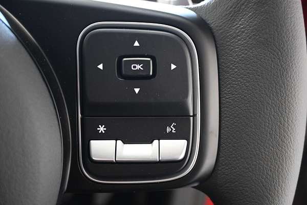 2025 GWM Ute Cannon Premium NPW 4X4