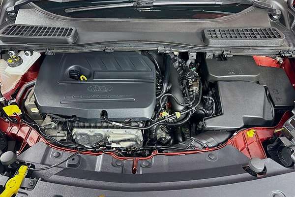 2018 Ford Escape TREND (FWD) ZG MY18