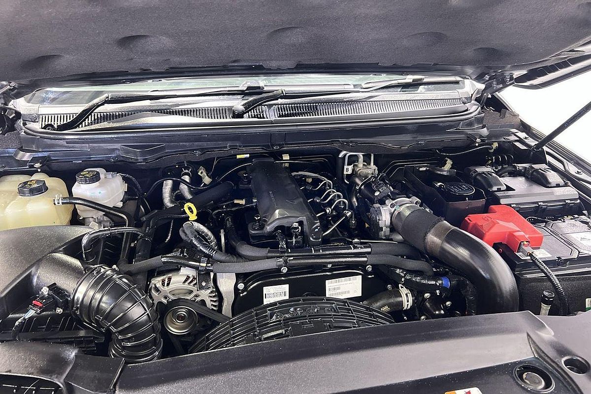 2021 Ford Everest Trend UA II 3.2L