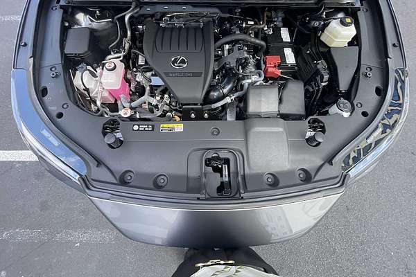 2023 Lexus RX Premium