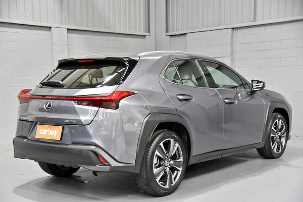 2019 Lexus UX UX200 Luxury MZAA10R