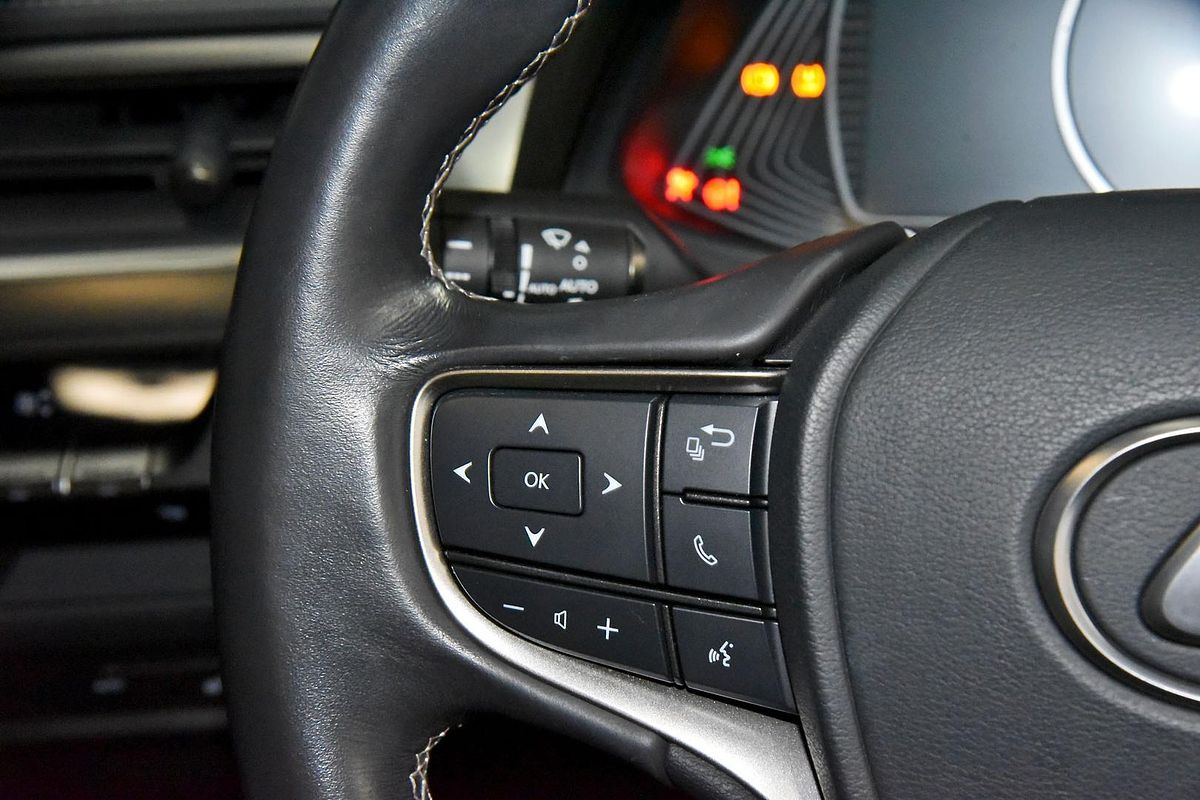2019 Lexus UX UX200 Luxury MZAA10R