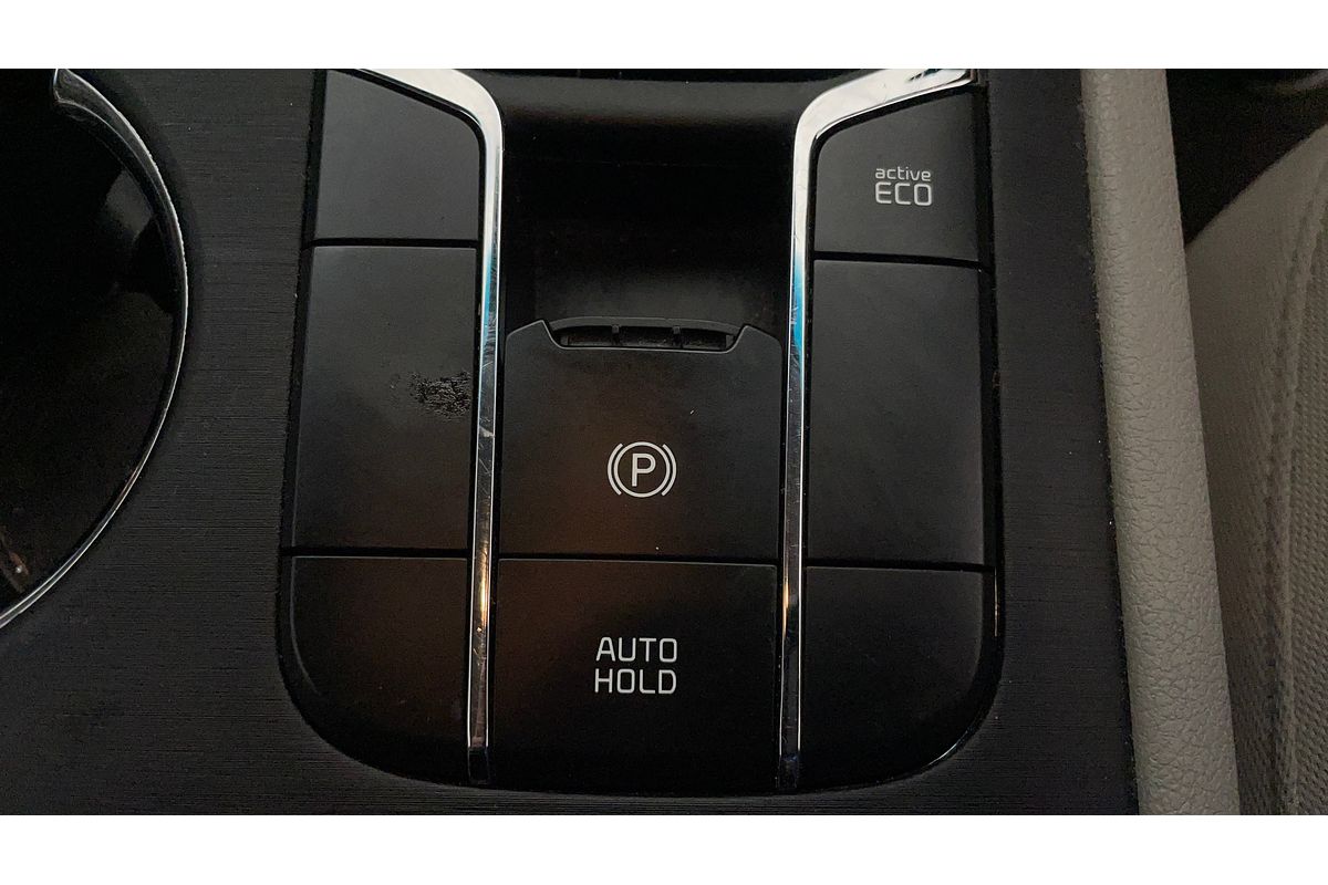 2019 Kia Carnival S YP