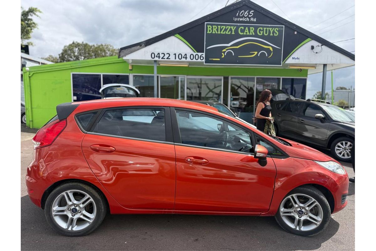 2014 Ford Fiesta Ambiente WZ