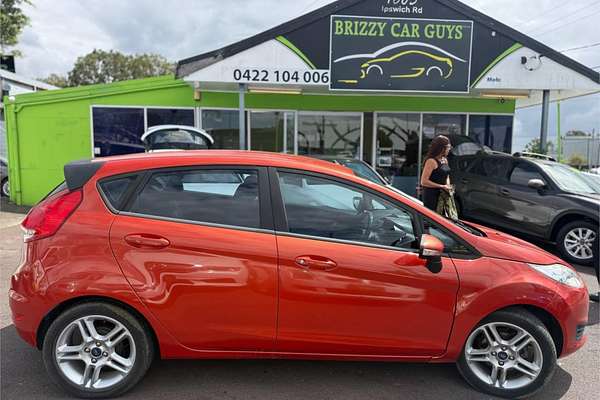 2014 Ford Fiesta Ambiente WZ