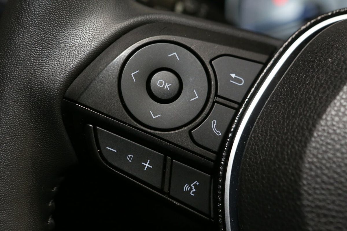 2020 Toyota RAV4 Cruiser AXAH52R