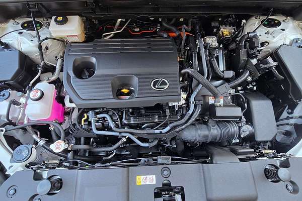 2024 Lexus NX NX350h F Sport AAZH20R
