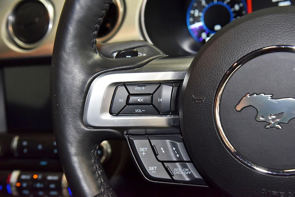 2019 Ford Mustang GT FN