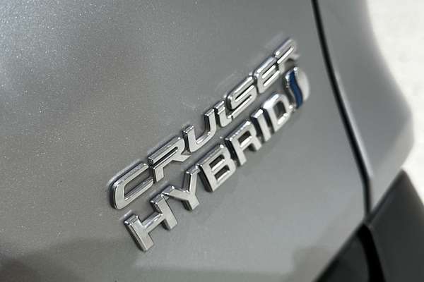 2020 Toyota RAV4 Cruiser AXAH52R