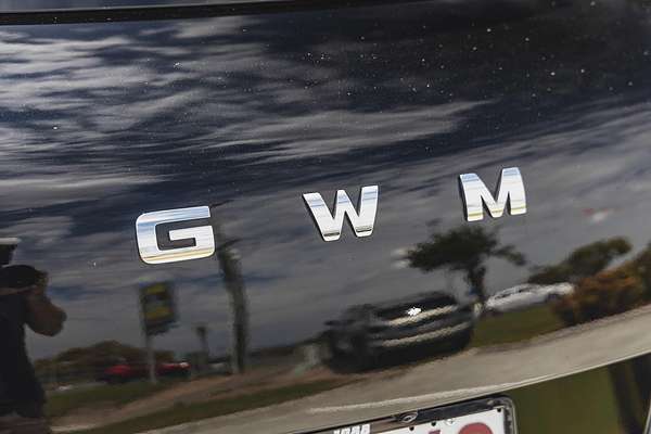 2025 GWM Ora Standard Range ES11