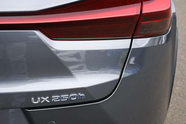 2021 Lexus UX UX250h F Sport MZAH10R