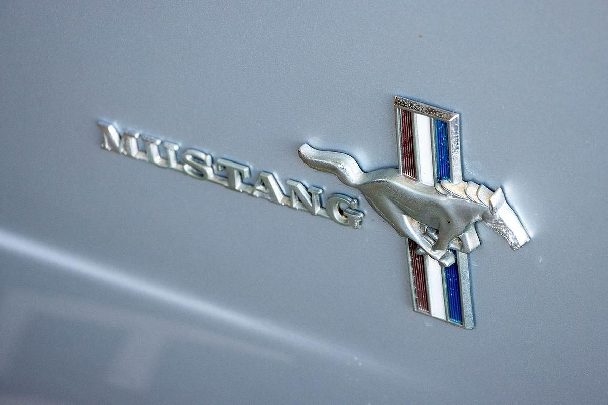 1966 Ford Mustang 1966