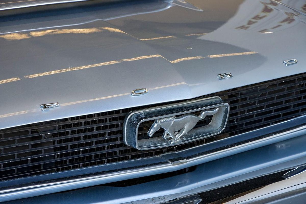 1966 Ford Mustang 1966