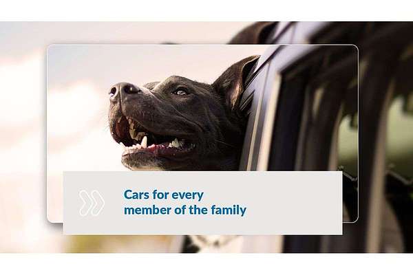 2016 Kia Carnival S YP