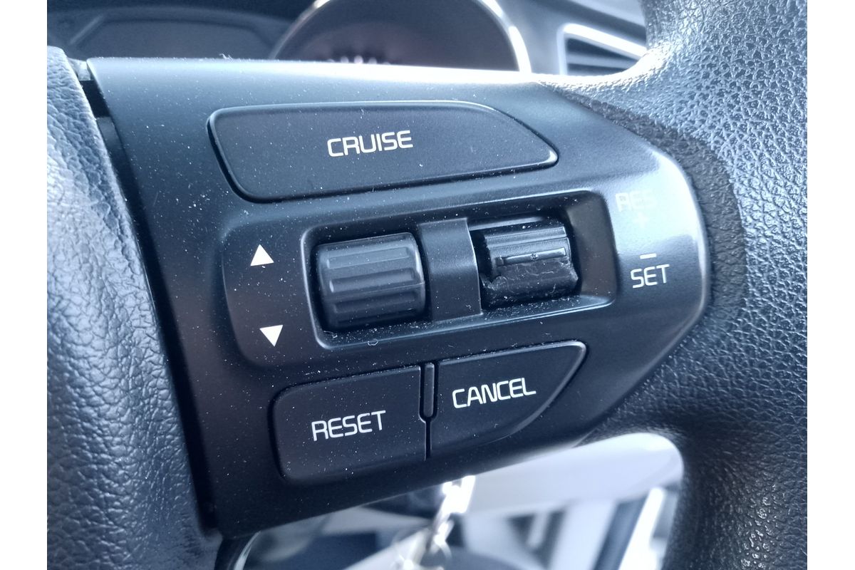 2017 Kia Carnival S YP