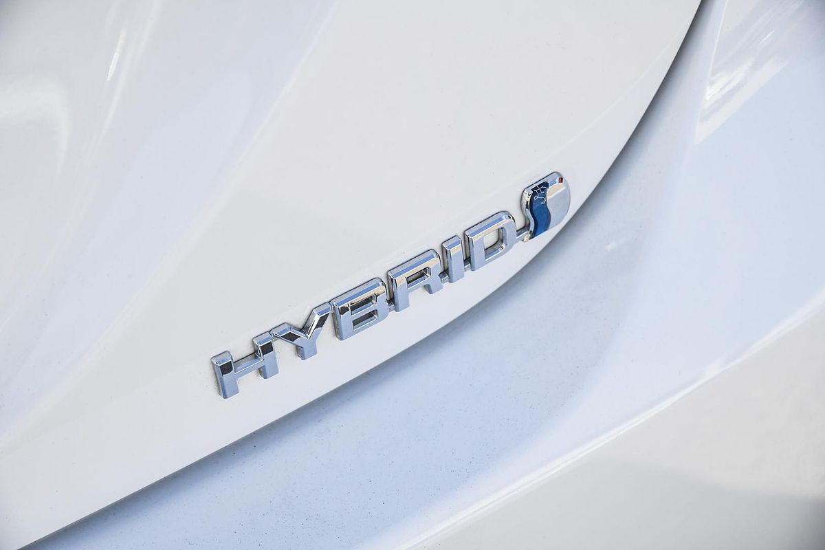 2019 Toyota Camry Ascent Sport AXVH71R