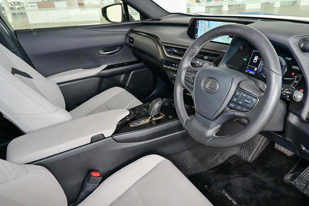 2022 Lexus UX UX300e Luxury KMA10R