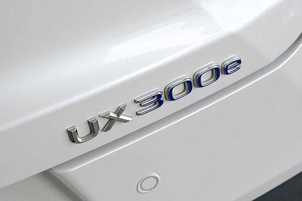 2022 Lexus UX UX300e Luxury KMA10R