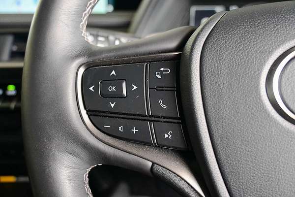 2022 Lexus UX UX300e Luxury KMA10R