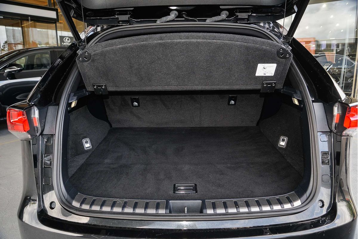 2021 Lexus NX NX300 F Sport AGZ10R