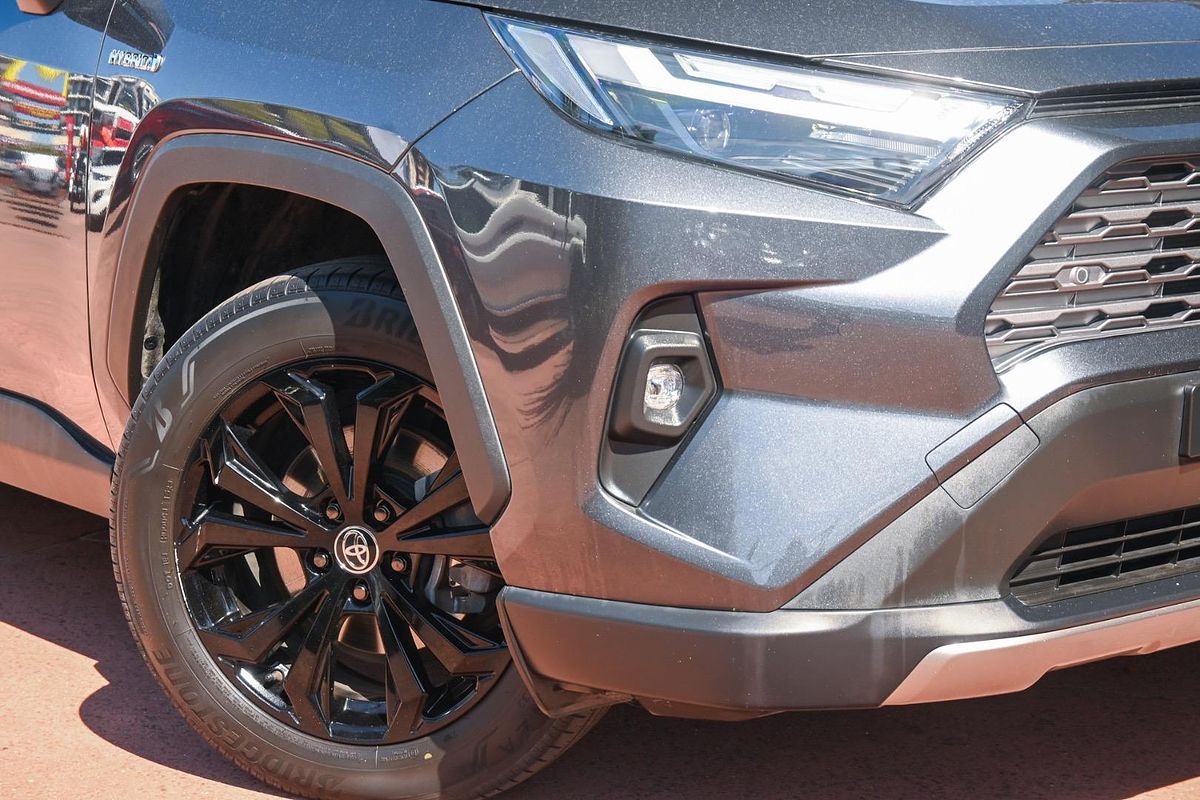 2023 Toyota RAV4 Cruiser AXAH54R