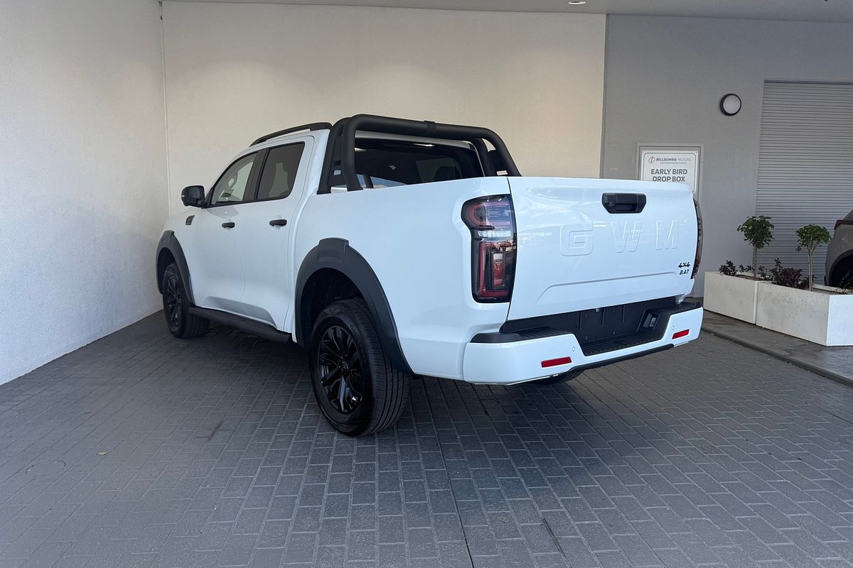 2025 GWM Cannon Vanta NPW 4X4