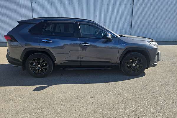 2022 Toyota RAV4 Cruiser AXAH52R