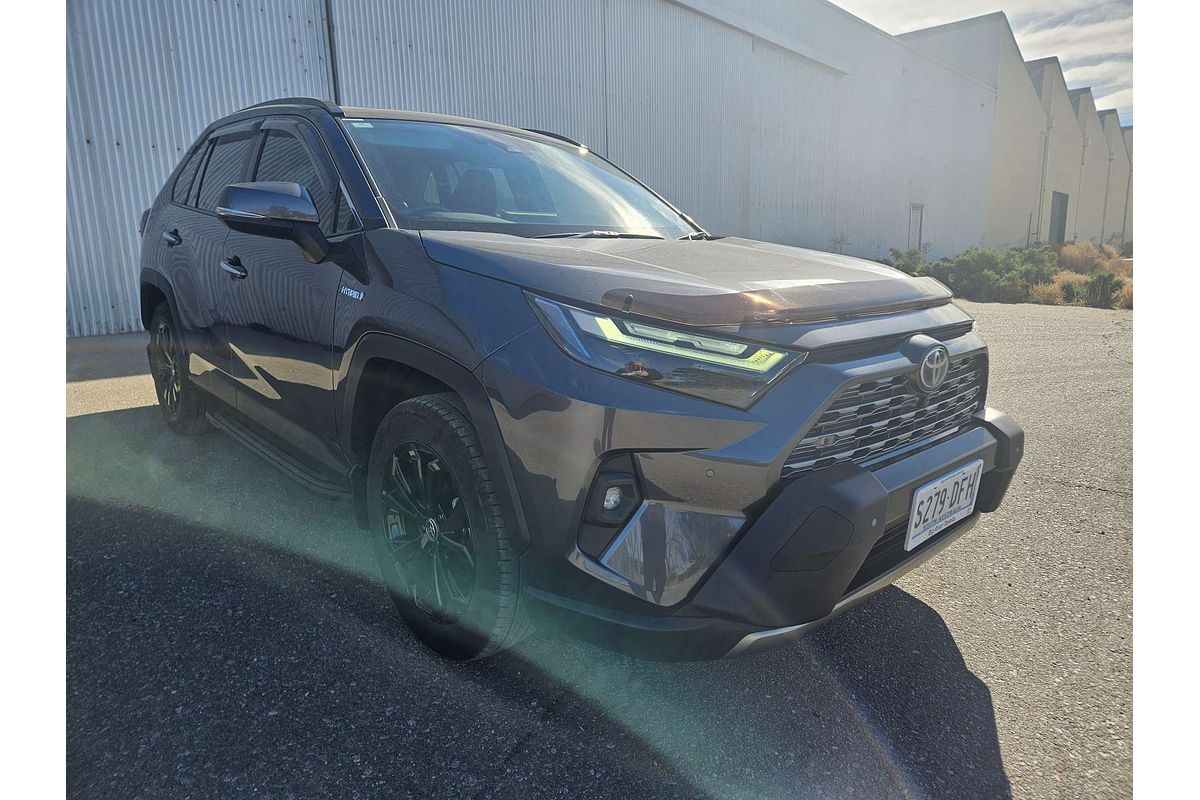 2022 Toyota RAV4 Cruiser AXAH52R