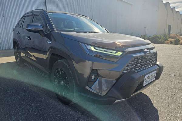 2022 Toyota RAV4 Cruiser AXAH52R