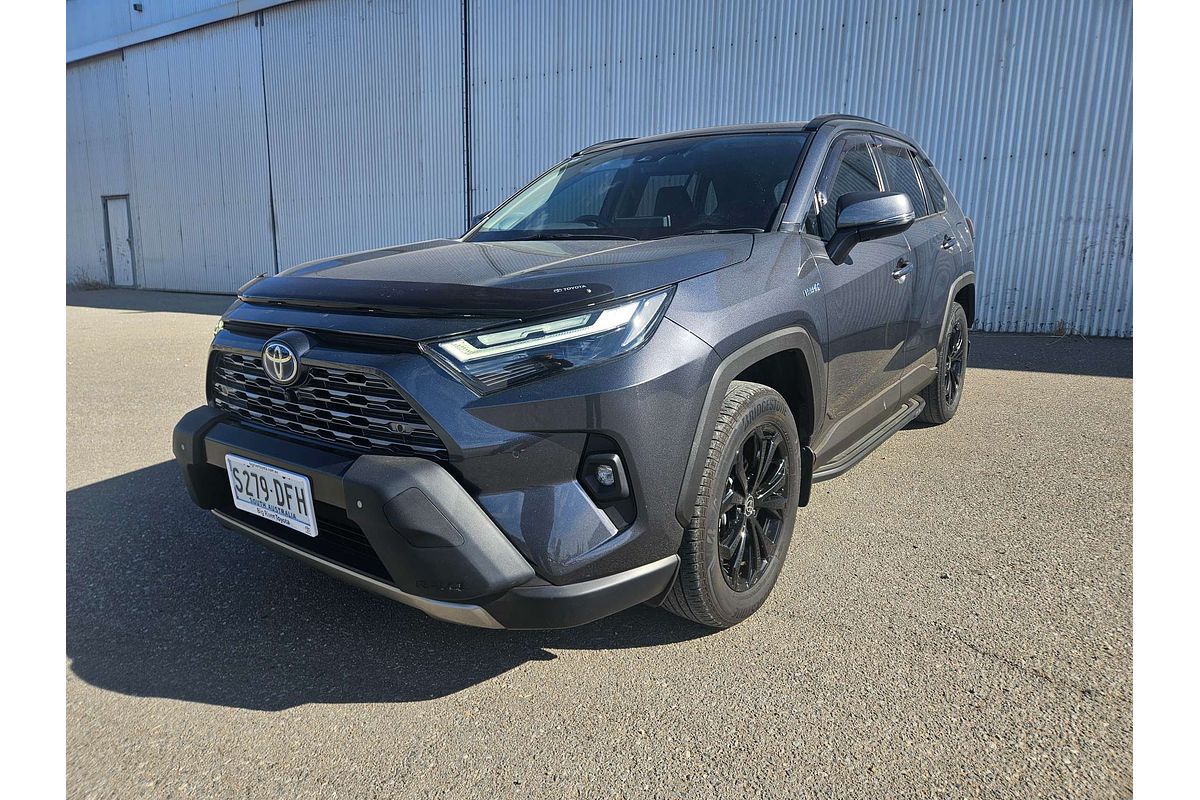 2022 Toyota RAV4 Cruiser AXAH52R