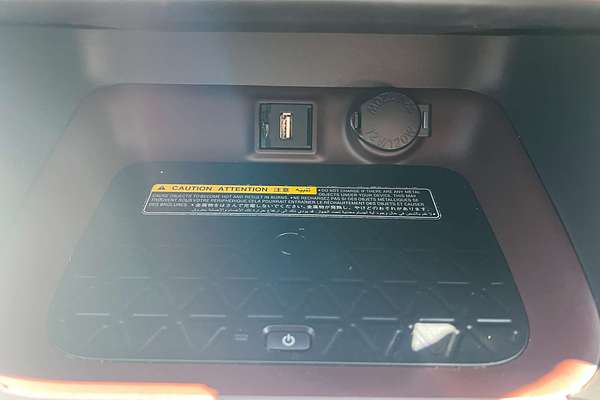 2020 Toyota RAV4 Cruiser AXAH52R
