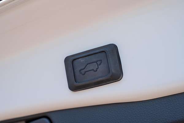 2024 Toyota RAV4 Cruiser AXAH52R