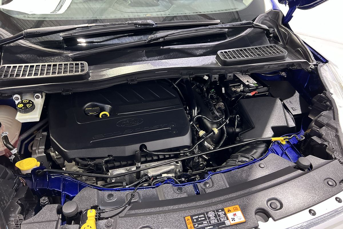 2017 Ford Escape Trend ZG