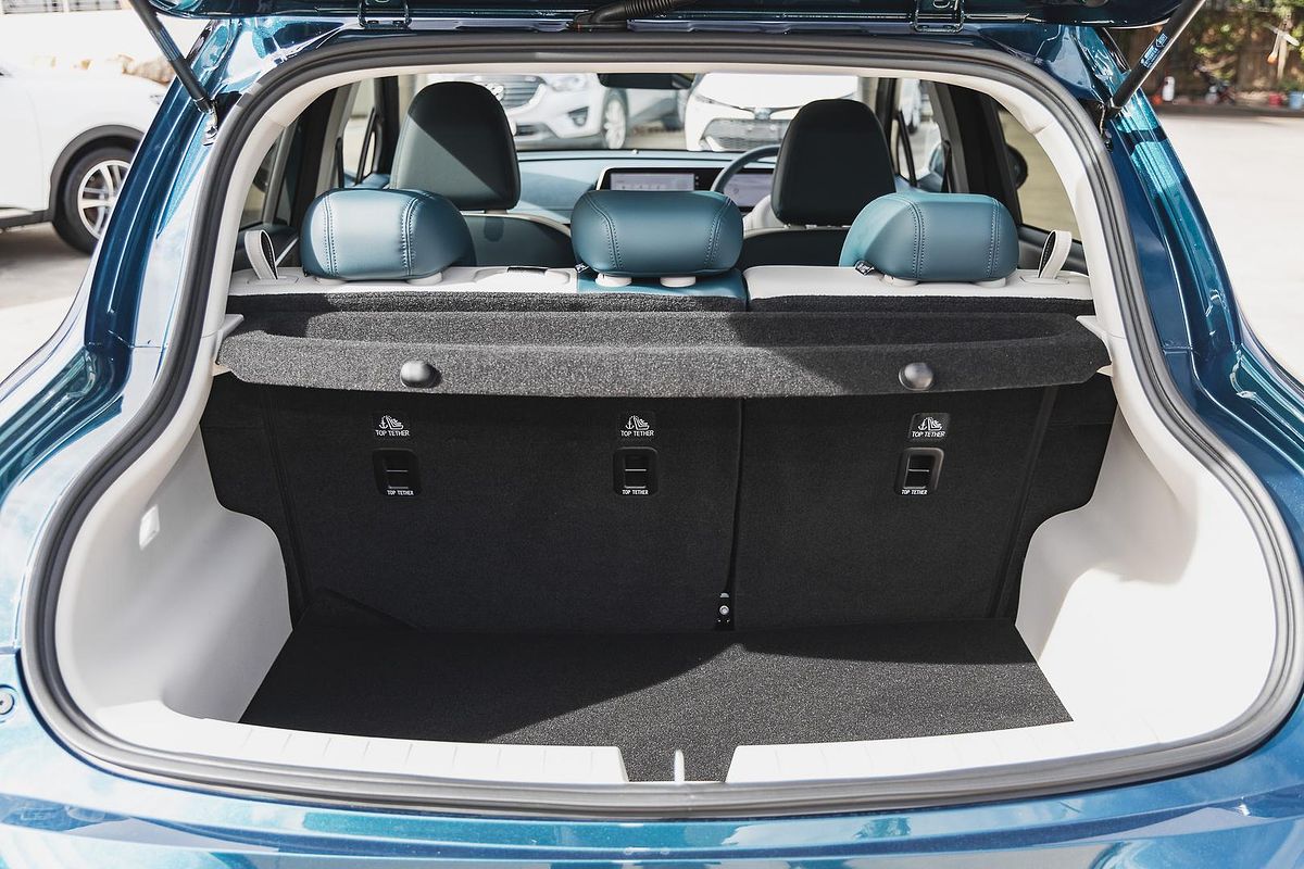 2025 GWM Ora Lux ES11