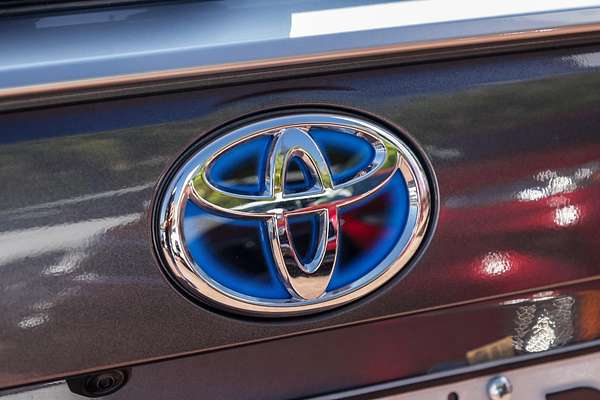 2024 Toyota RAV4 Cruiser AXAH52R