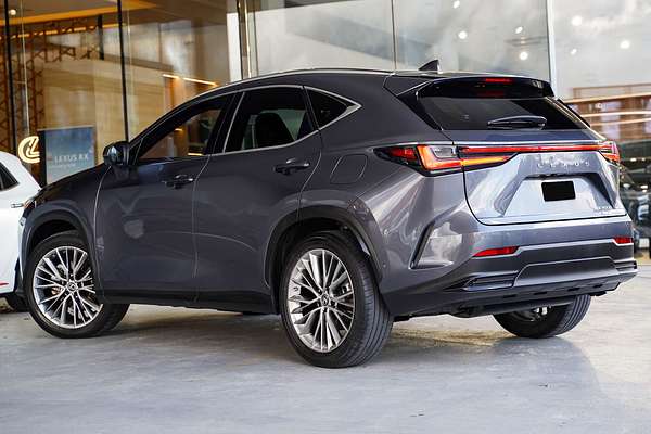 2022 Lexus NX NX350h Sports Luxury AAZH25R