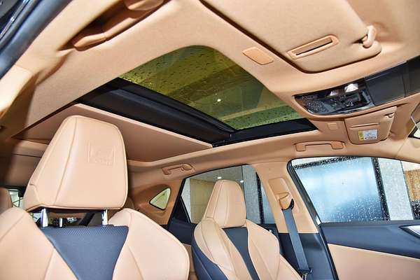 2024 Lexus NX NX350 F Sport TAZA25R