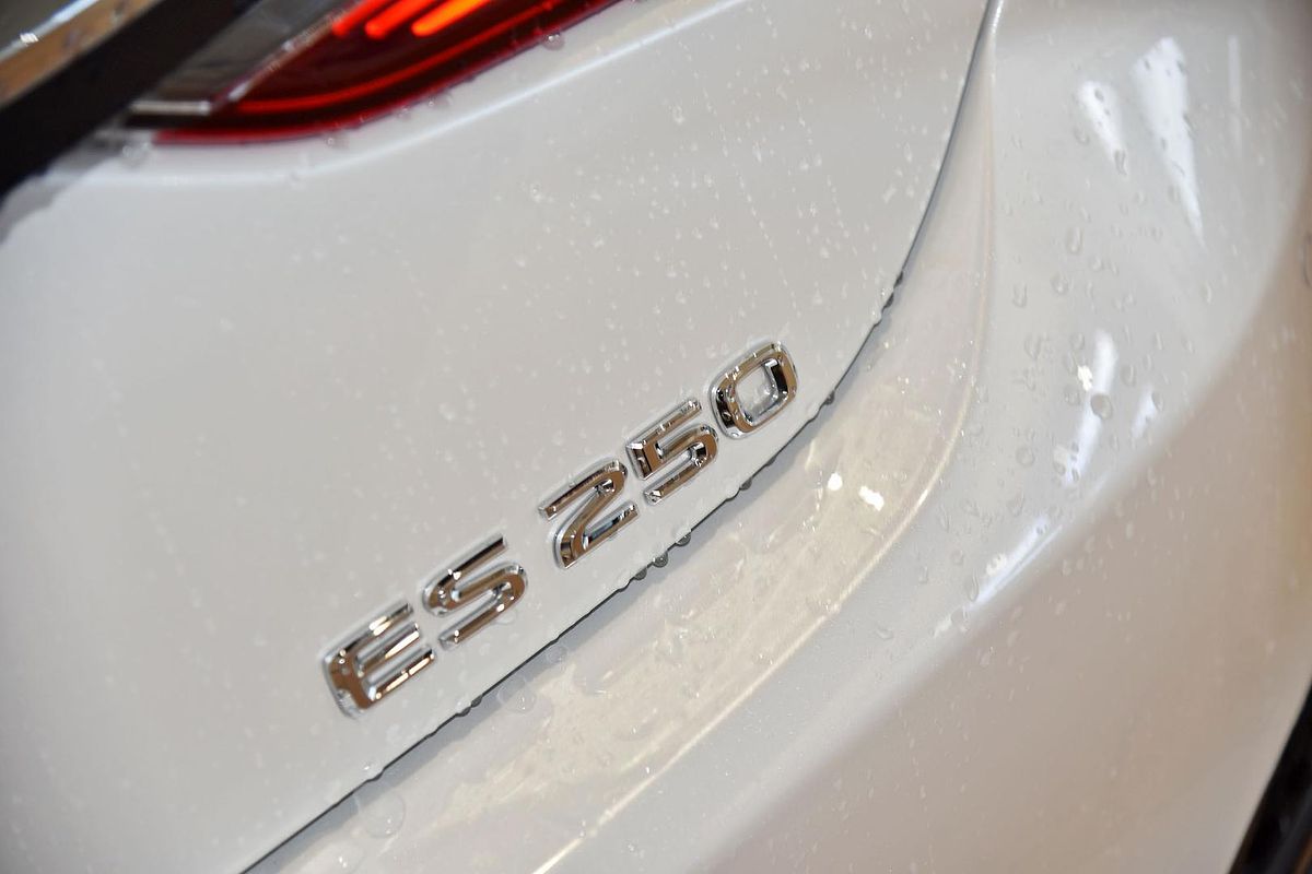 2022 Lexus ES ES250 Luxury AXZA10R